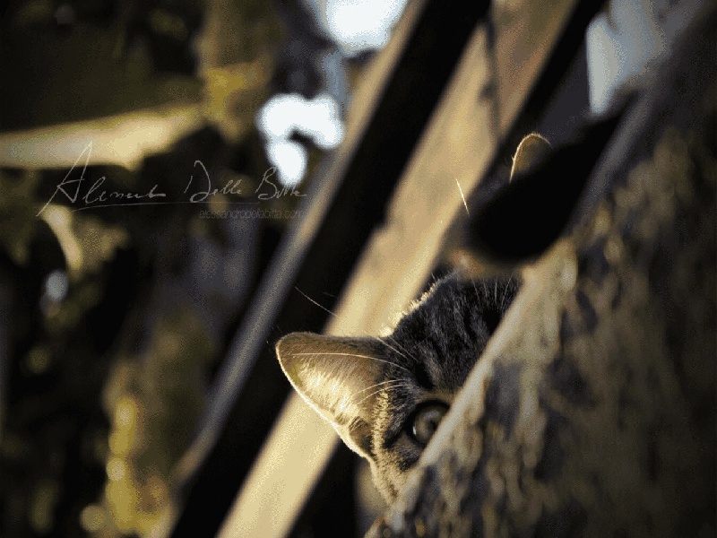 卡通头像拿着试管自造试管婴儿试管期间不开心